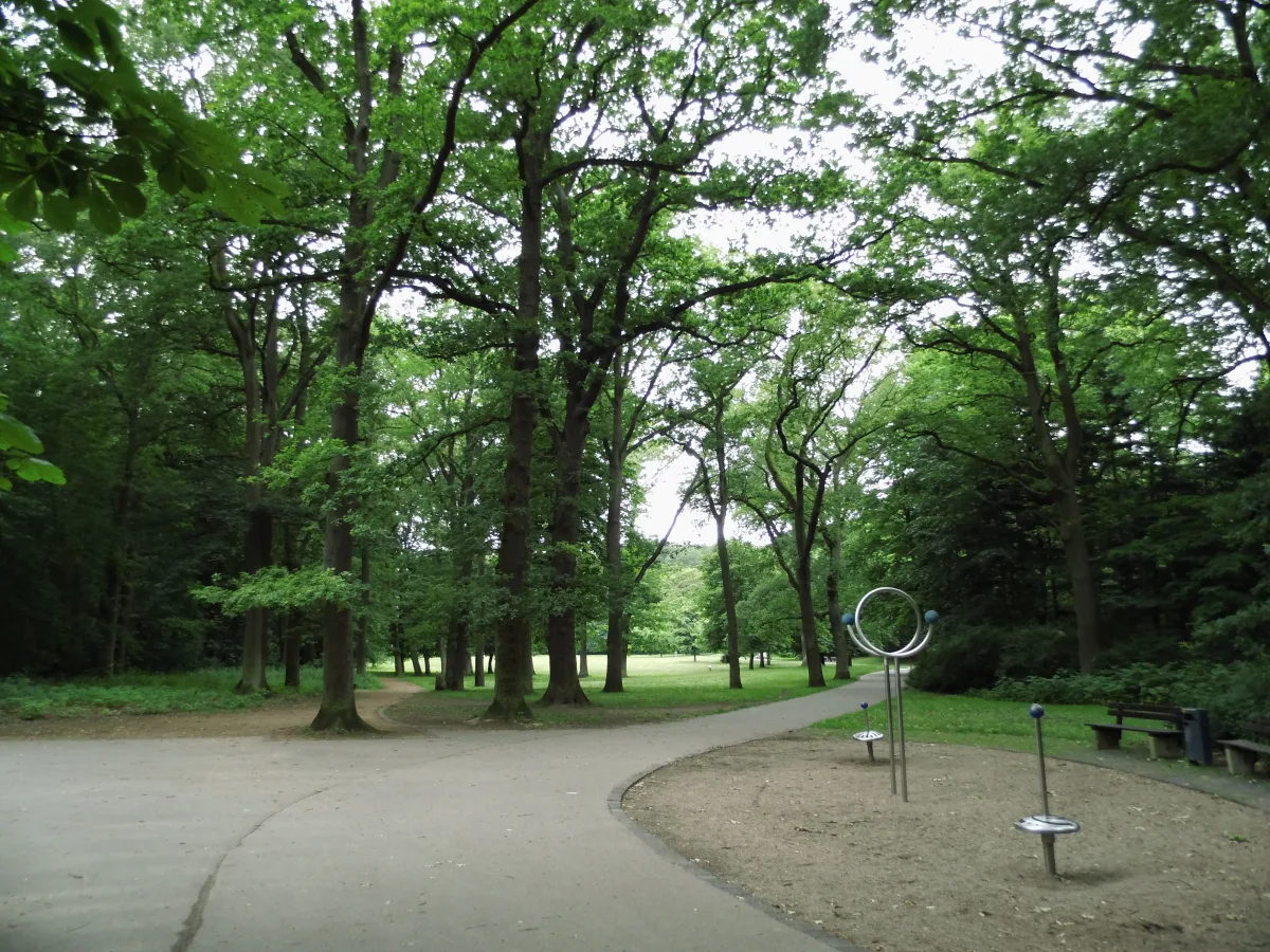 Alter Baumbestand im Barnstorfer Wald in Rostock
