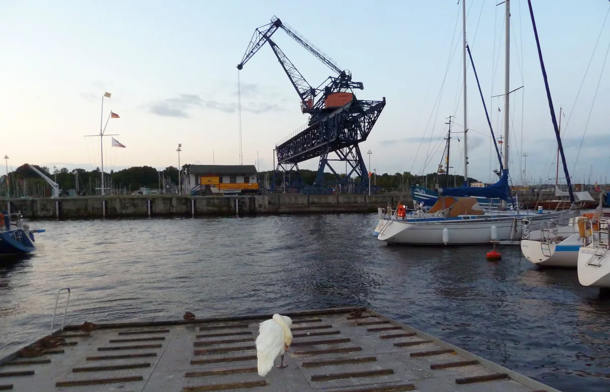 Stadthafen von Rostock mit der Silhouette der Altstadt